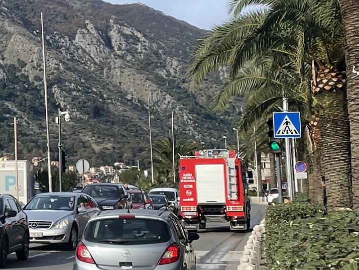 U Dobroti gorjelo nisko rastinje, intervenisai vatrogasci