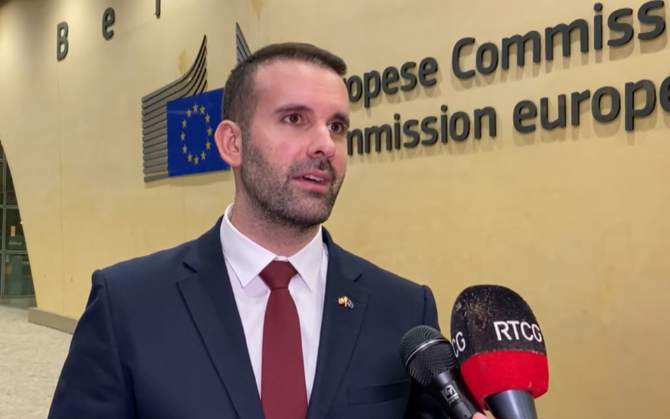 Spajić: Evropska unija računa na Crnu Goru, nastaviti sa reformama