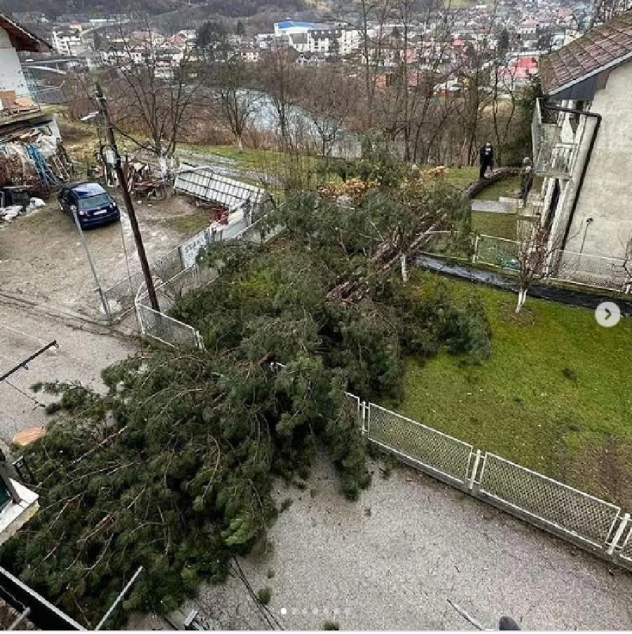 Bijelo Polje: Nevrijeme oborilo stablo, nema povrijeđenih