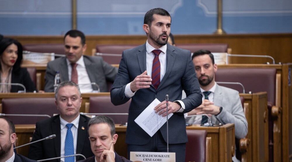 Nenezić: Ne može se zarad političke kalkulacije igrati sa ugledom države