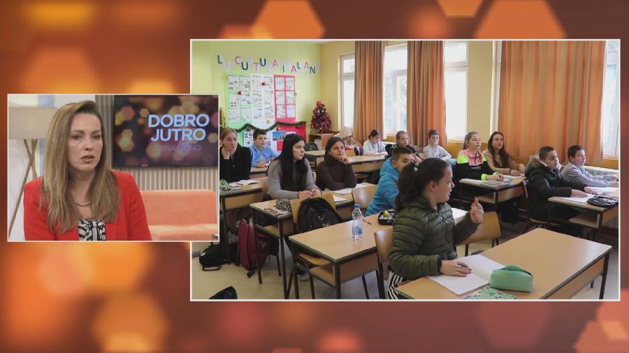 Mihailović: Još nema konkretnih koraka povodom vršnjačkog nasilja