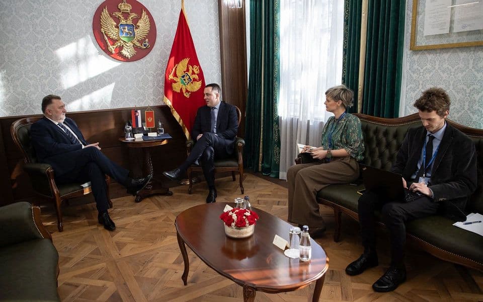 Vuković sa Gandelom: Naredni mjeseci ključni za dalji napredak Crne Gore u integracijama