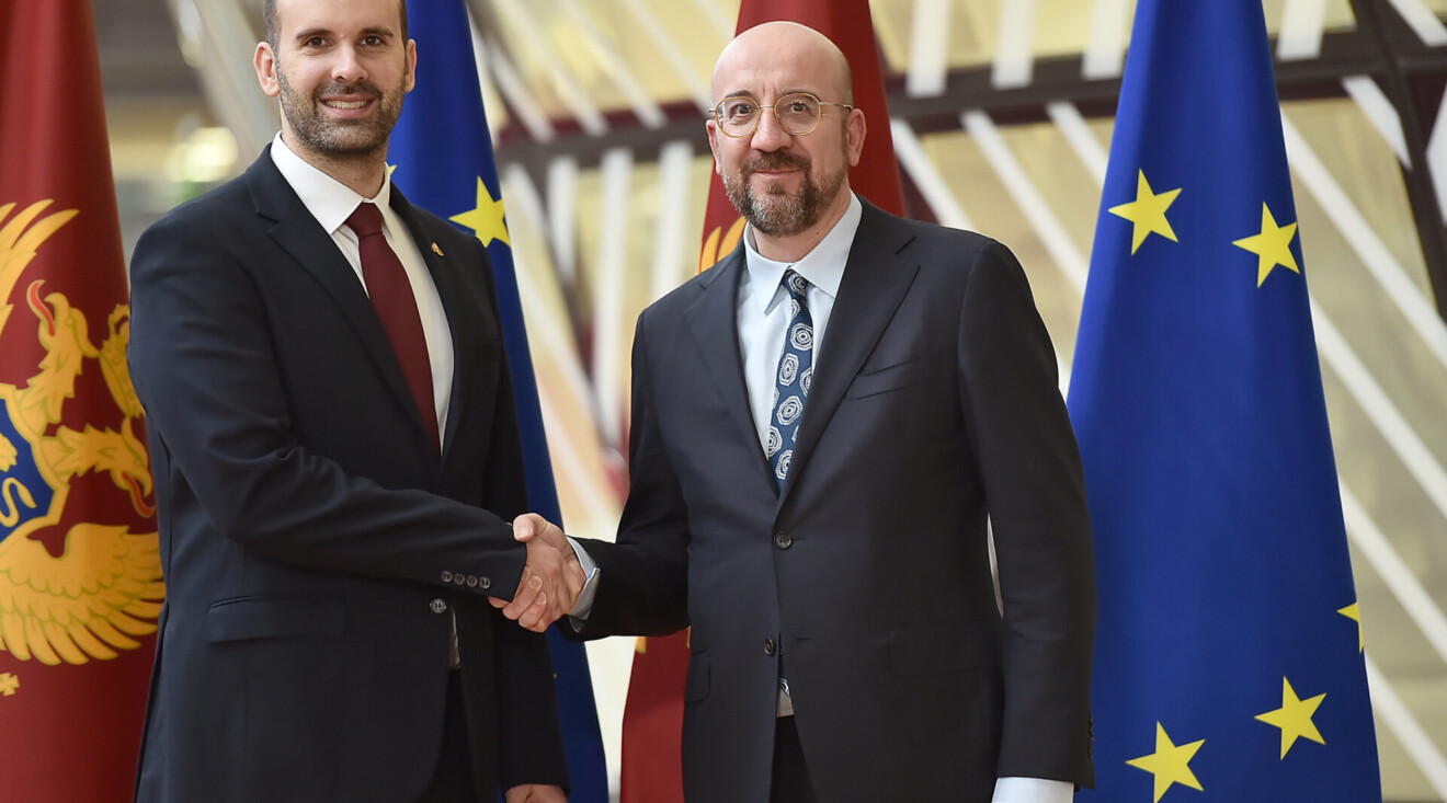 Spajić sa Mišelom: Puna podrška brzom progresu Crne Gore