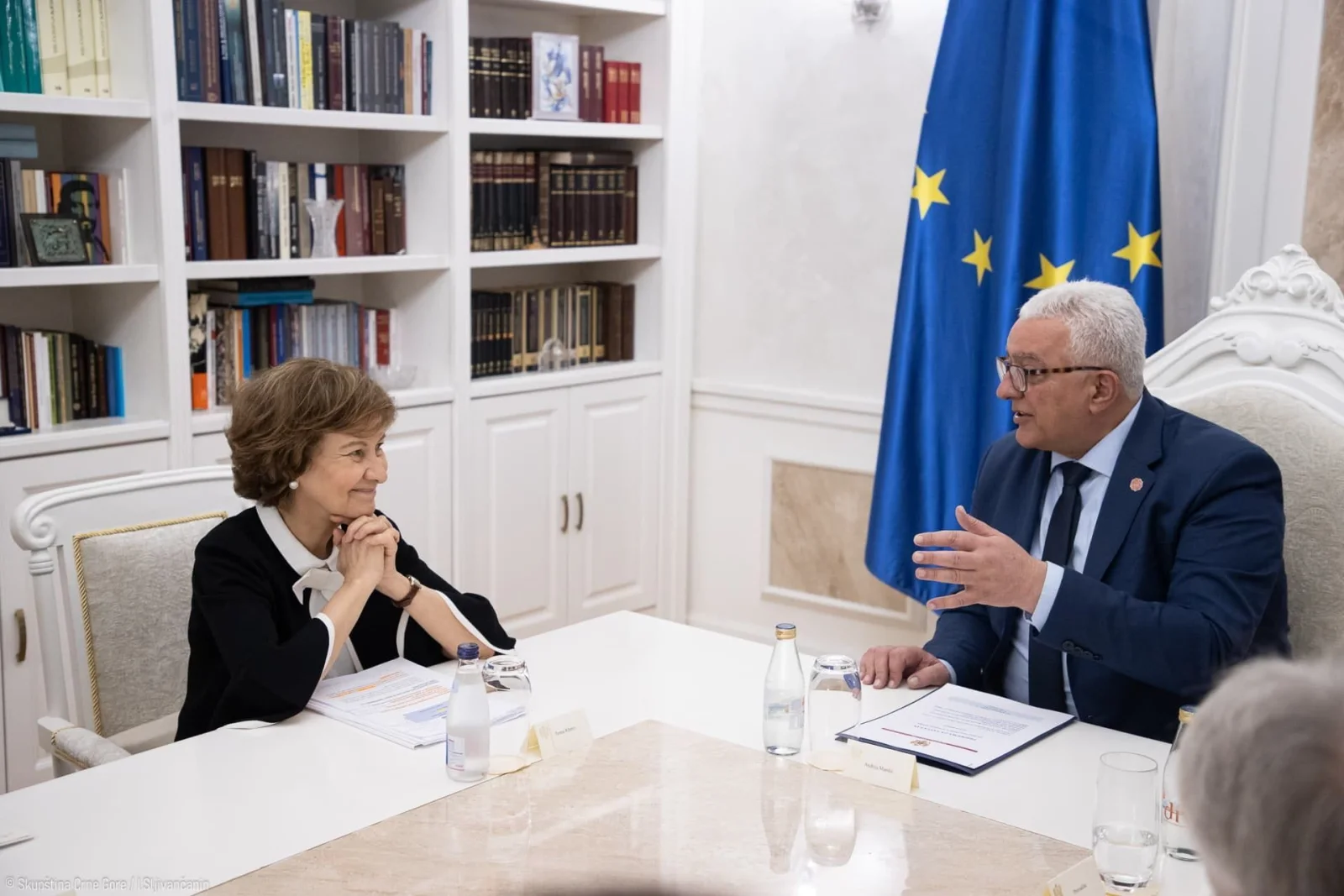 Mandić: Pripremljen tekst za formiranje anketnog odbora koji će se baviti nasiljem nad novinarima
