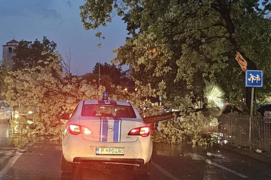 Podgorica: Nevrijeme oborilo stablo, blokirane dvije kolovozne trake