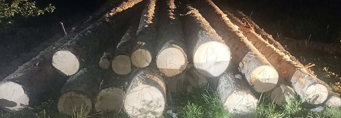 Foto: Uprava za gazdovanje šumama i lovištima