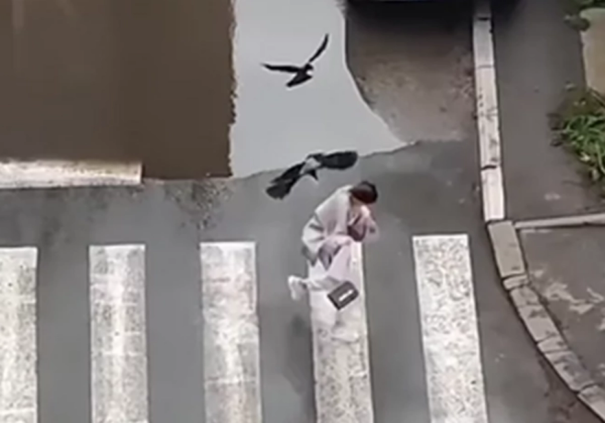 (VIDEO) Srbija: Vrane napale djevojku, pokušala da pobjegne pa pala