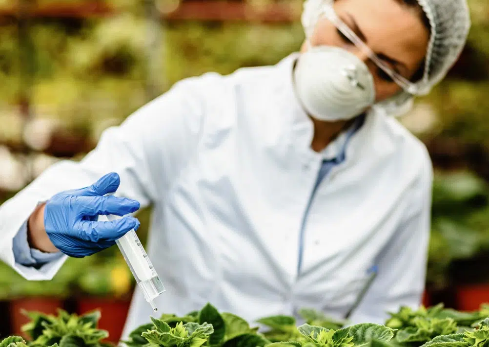 Mimo zakona cvjeta posao: Zabranjeni pesticid &#8220;preskaču&#8221; granicu