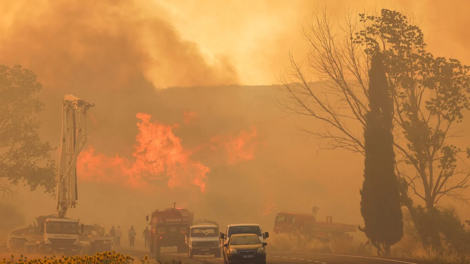 Požari u Turskoj, najmanje 11 osoba nastradalo