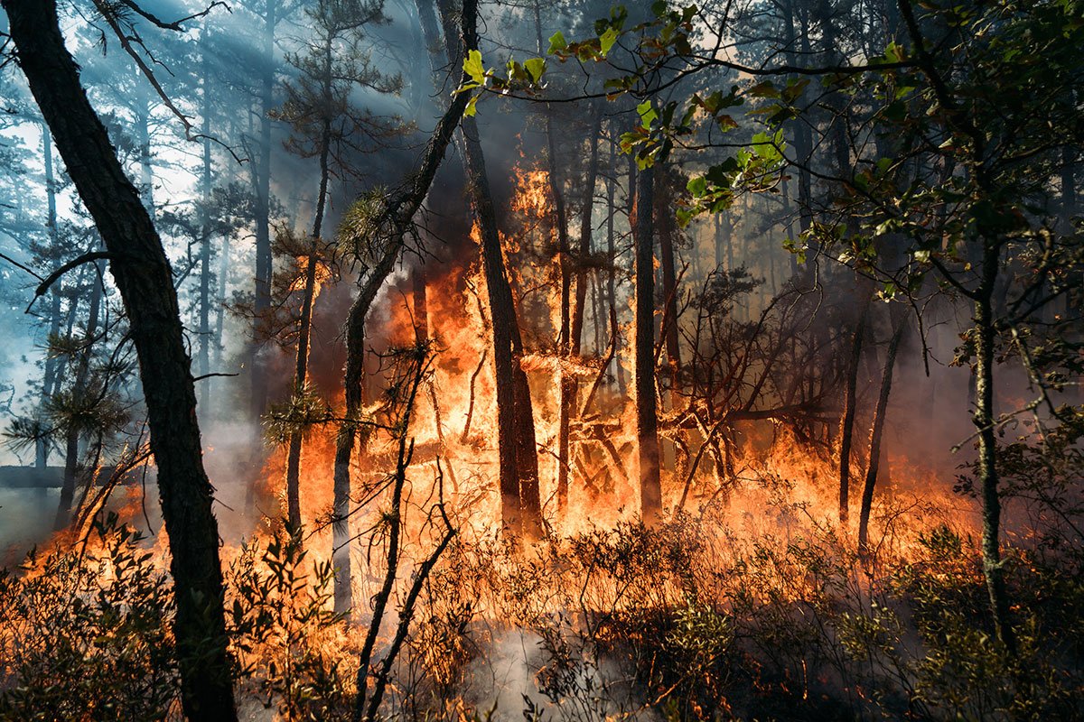 Požari haraju Sjevernom Makedonijom: Proglašena krizna situacija