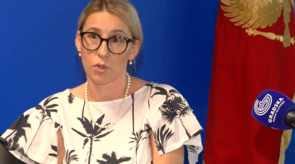 Šubarić: Fokus nove strategije na pacijentu, zdravlje kao vrhunska vrijednost i kvalitetan zdravstveni sistem