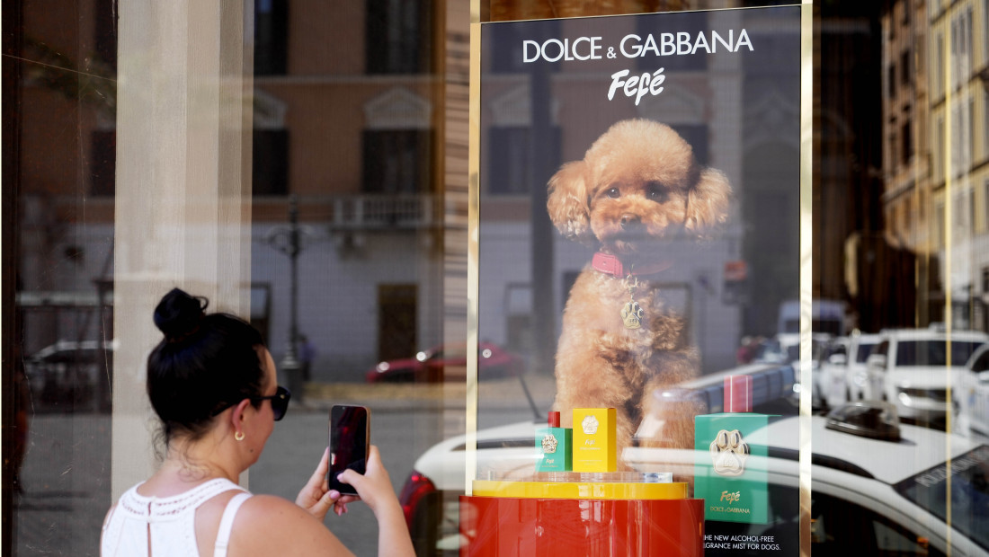 Modna kuća &#8220;Dolce &#038; Gabbana&#8221; lansirala luksuzni parfem za pse &#8220;Fefe&#8221;