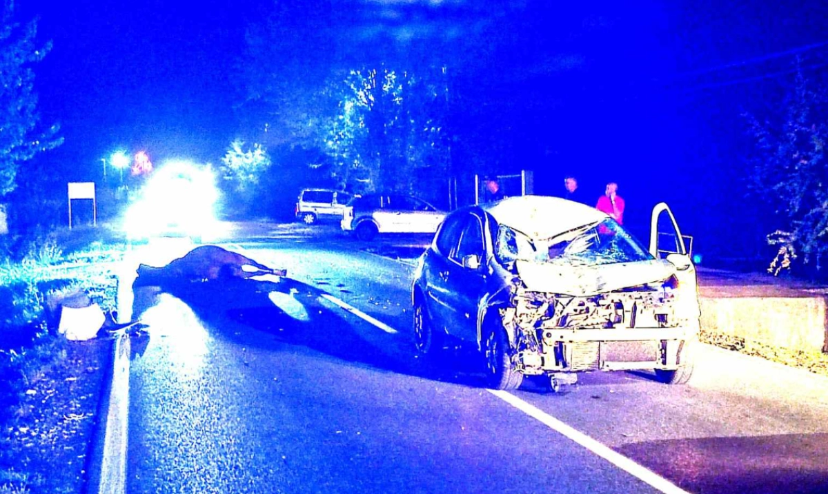 Automobil naletio na konja u Danilovgradu