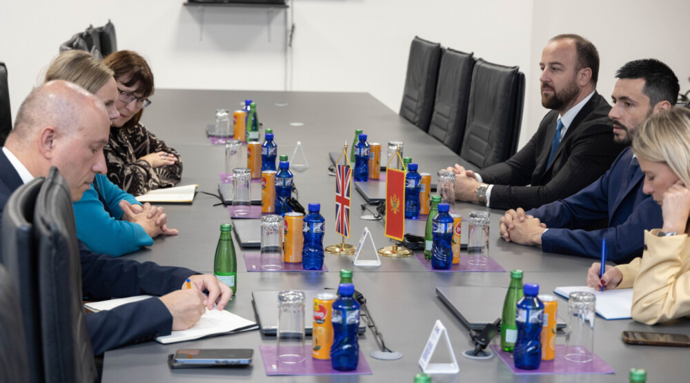 Živković – Biling: Važna konstruktivna uloga DPS u procesu EU integracija, zabrinutost zbog miješanja trećih strana
