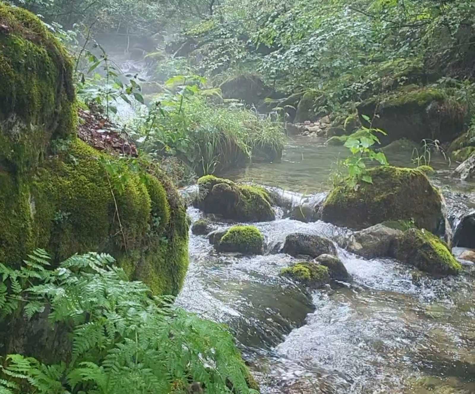 Foto: NVO Green home
