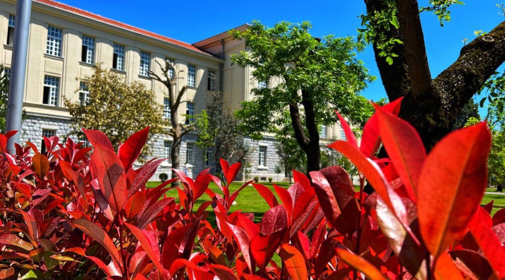 Ministarstvo sinoć obaviješteno o još jednom slučaju potencijalnog uznemiravanja učenice od strane profesora u podgoričkoj Gimnaziji