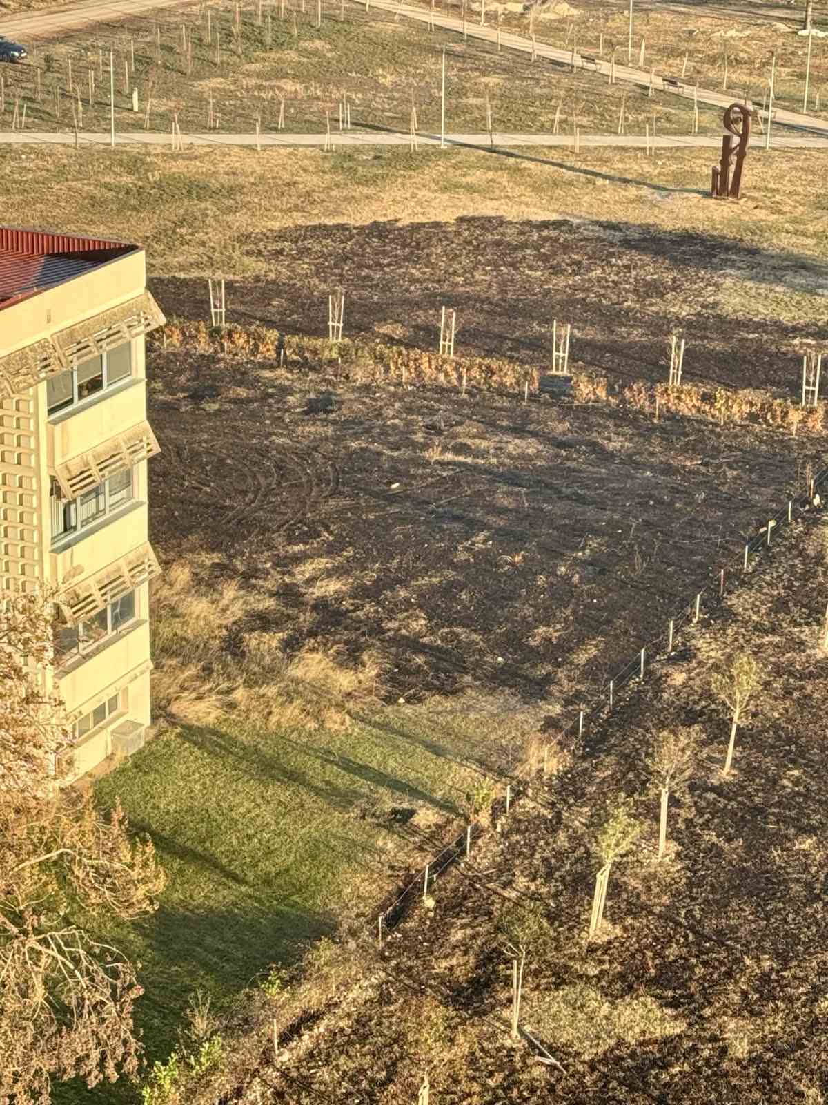 FOTO Požar u univerzitetskom parku izazvan pirotehničkim sredstvima