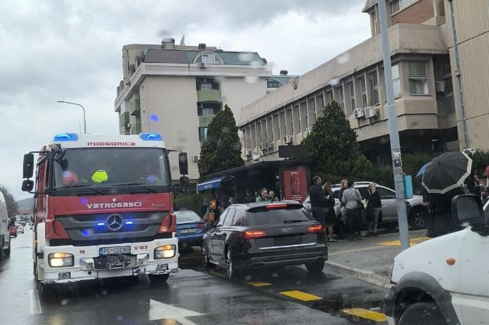 Foto: Vijesti/ Biljana Nikolić