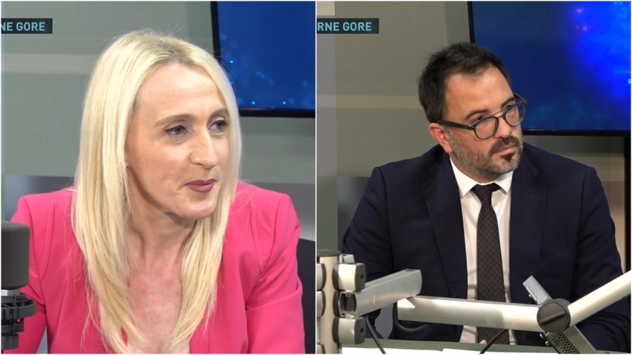 Državljanstvo dodjeljivati na osnovu stručnih referenci
