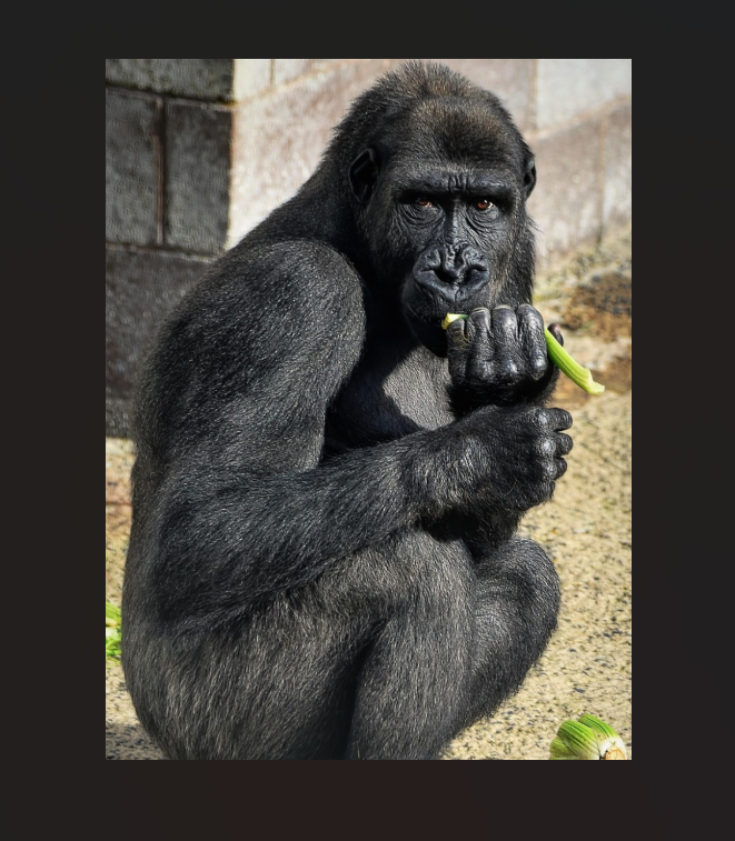 Ilustracija, Foto: Pixabay