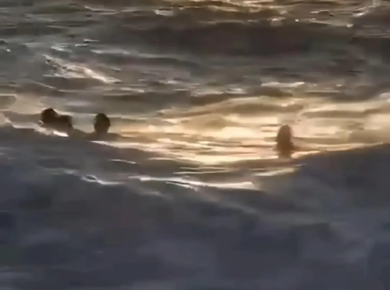 (VIDEO) Drama na plaži u Baru, djevojčica spašena u poslednjem trenutku