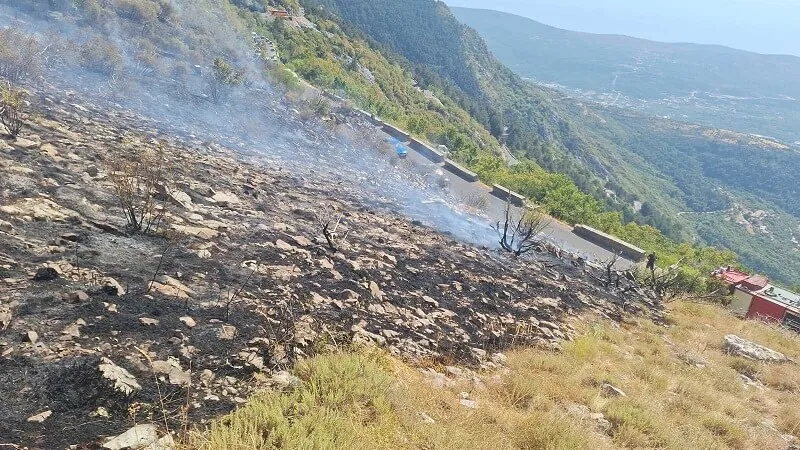 Ćećanović: Požar na Lovćenu lokalizovan, ekipe će dežurati tokom noći