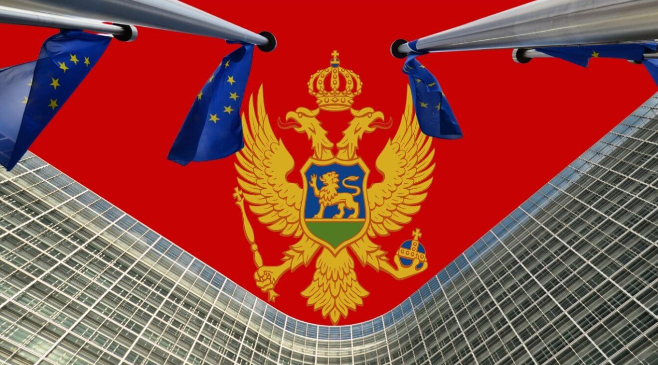 Photo credits: Canva
