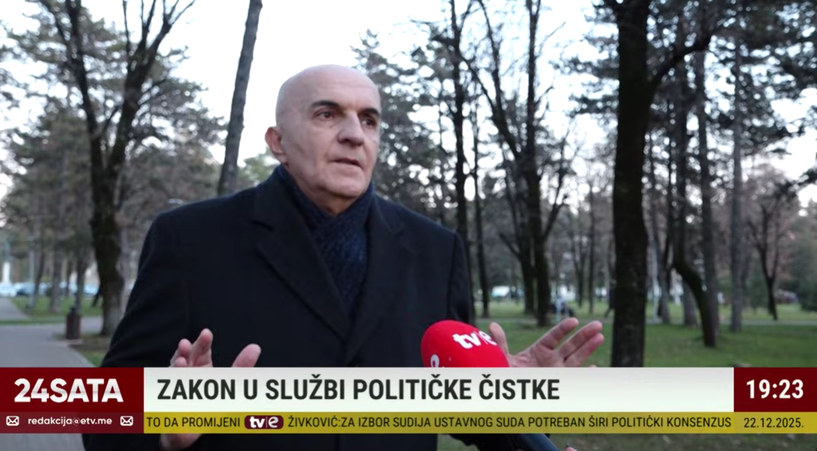 Nikola Janjušević (Foto: TV E/Youtube)
