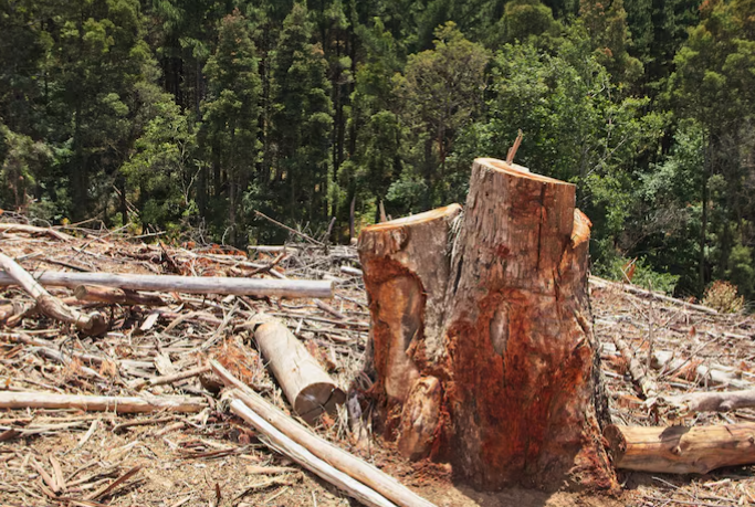 Ilustracija, Foto: Freepik