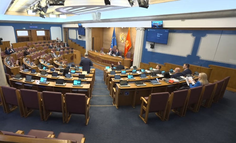 Foto: Printscreen/ YouTube/ Skupština Crne Gore