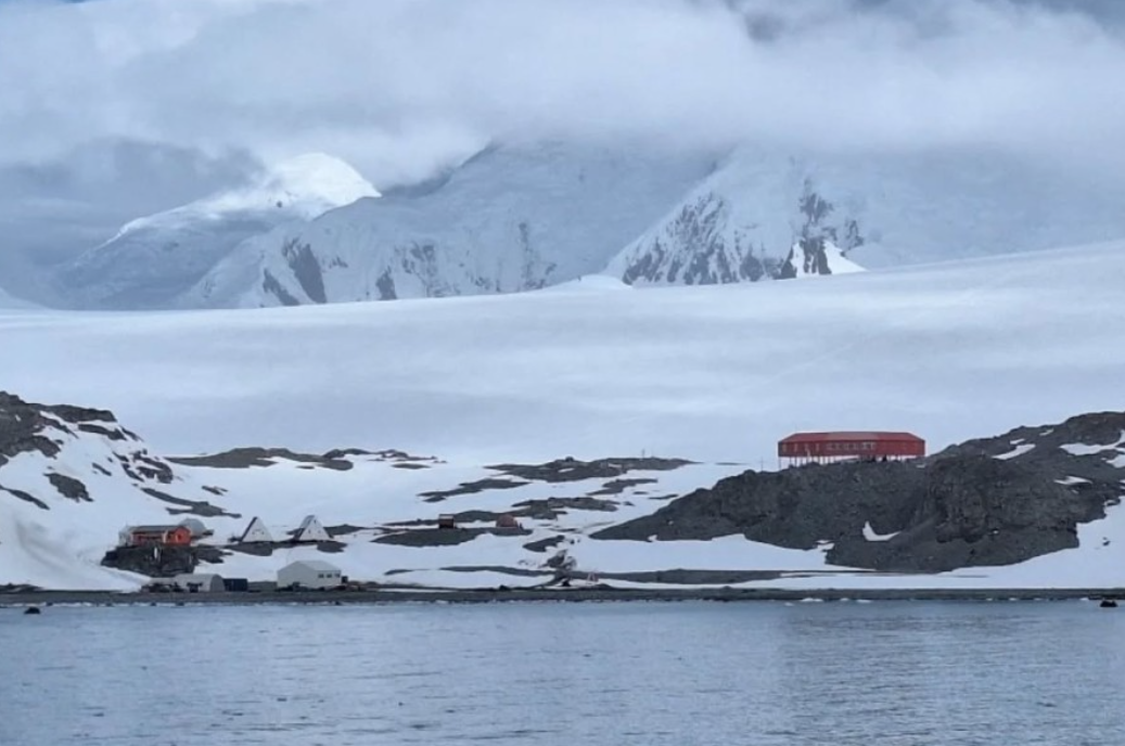 Foto: Institut za biologiju mora/ Facebook 