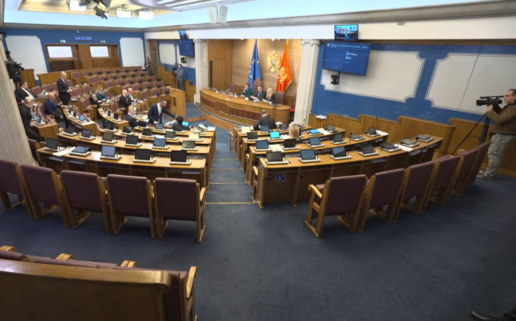 Foto: Printscreen/ YouTube/ Skupština Crne Gore