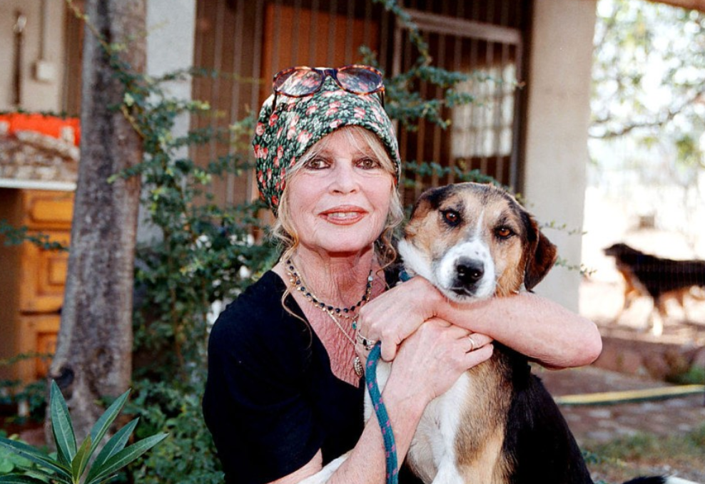 Brižit Bardo, Foto: Printscreen/ YouTube