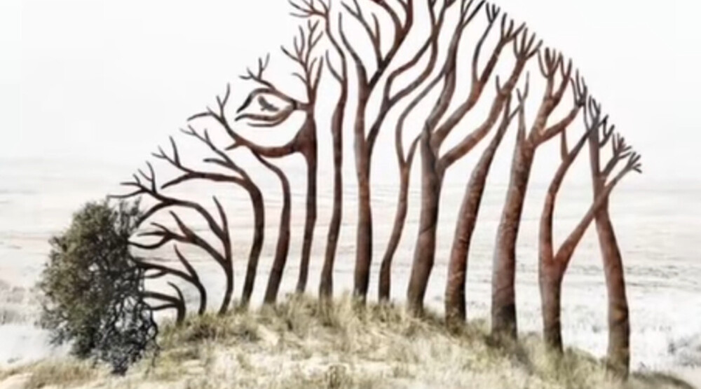 Foto: Did__youknowthat