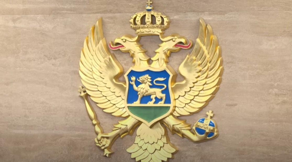 Foto: Printscreen/ YouTube/ Skupština Crne Gore