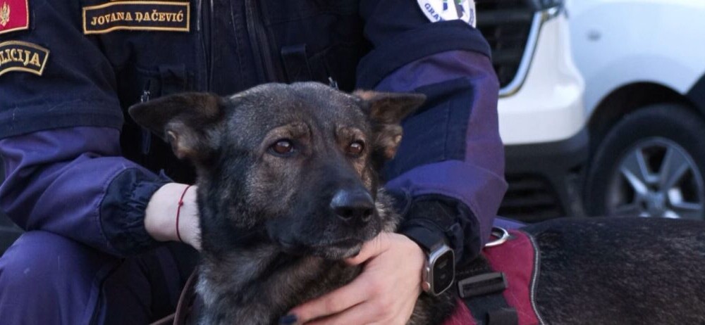 Fotot: RTV Podgorica