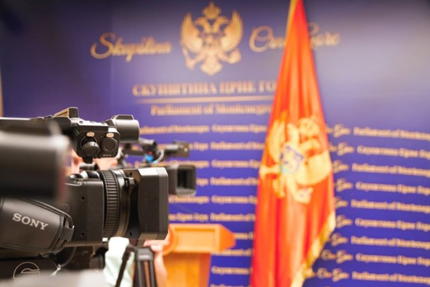 Foto: Dragan Tomašević/AntenaM