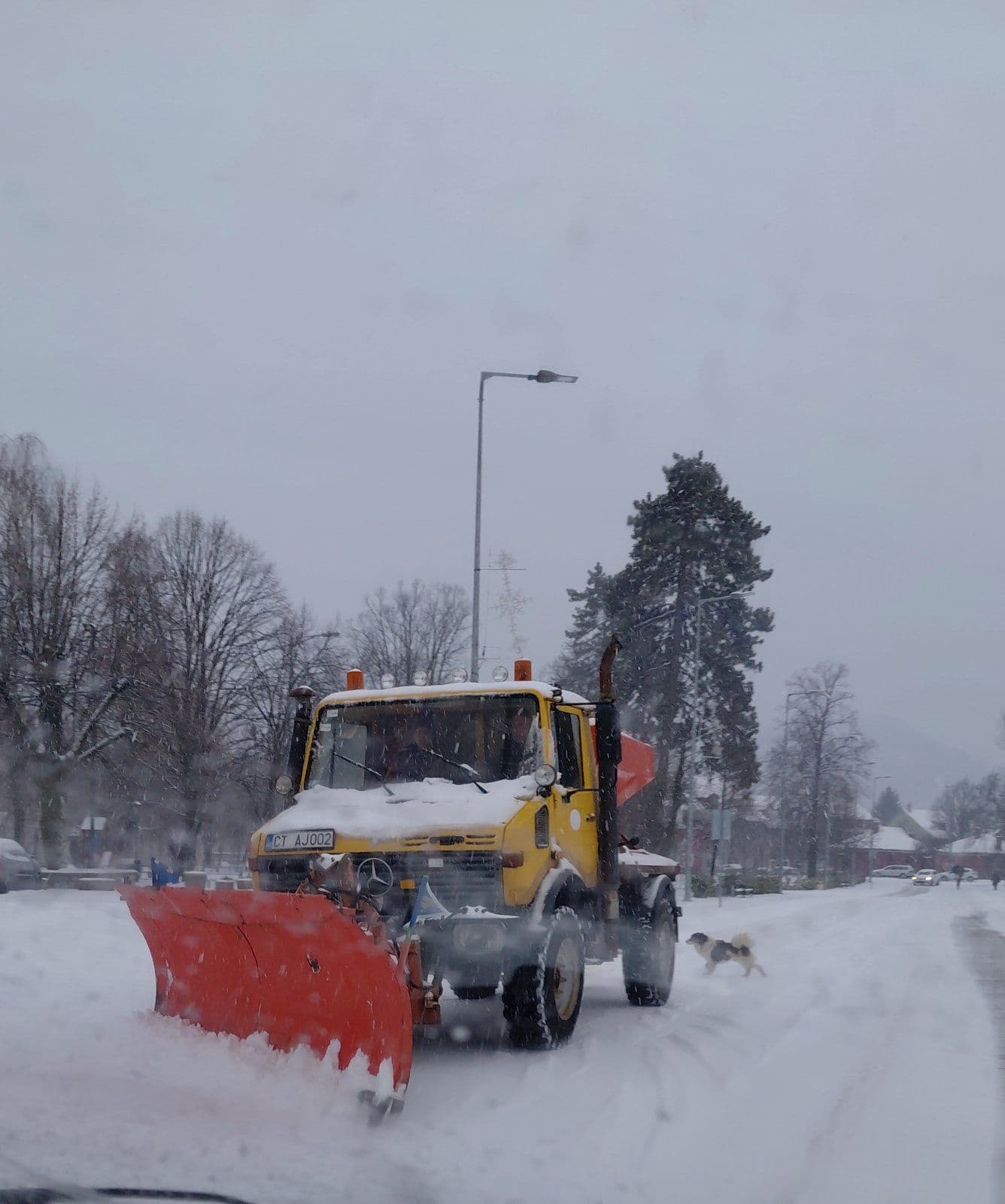 Foto: Jelena Đukanović Petrović