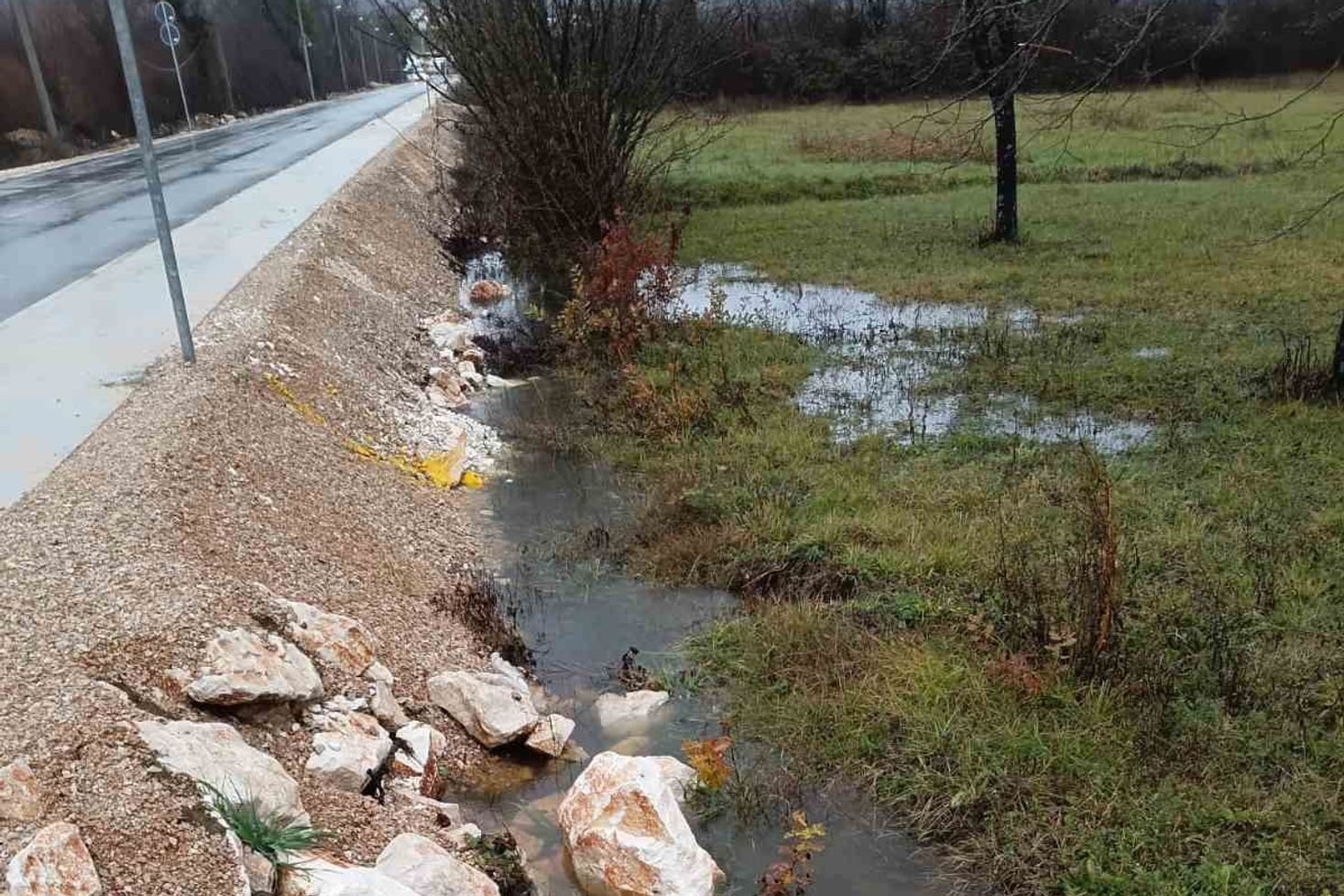 Foto: Čitaoci Antene M