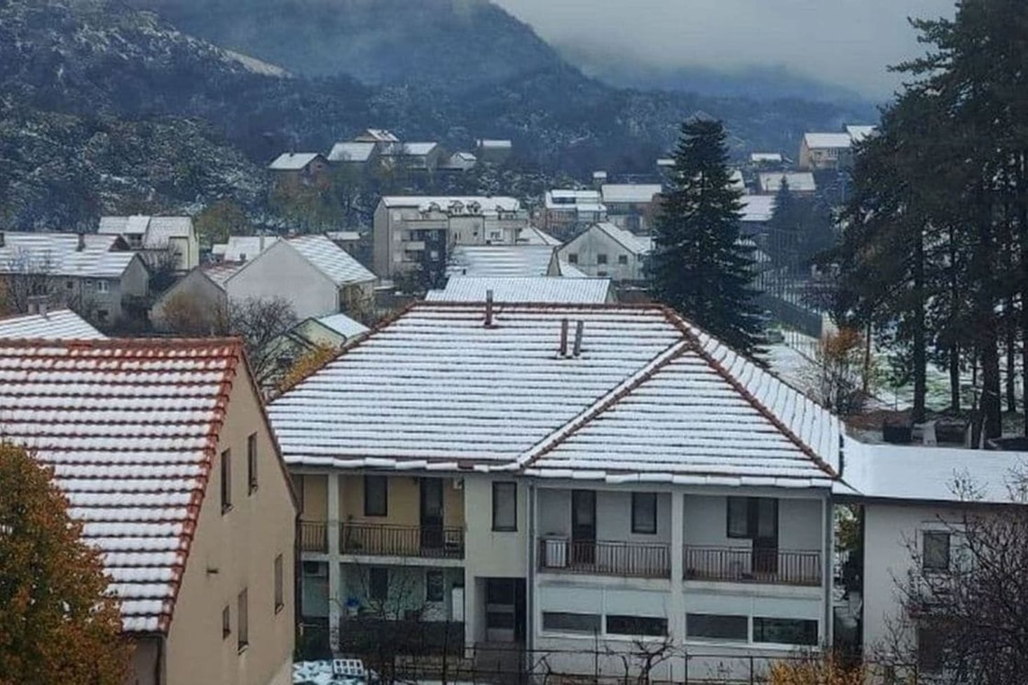 Foto: Pobjeda/ Jelena Đukanović Petrović