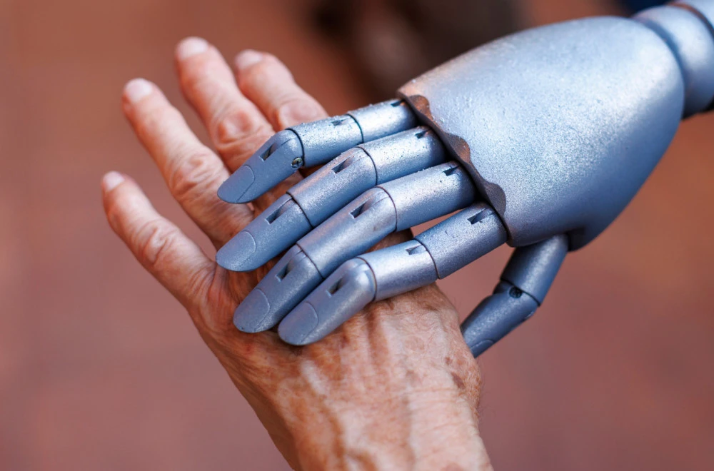 aerogondo2 / Shutterstock.com
