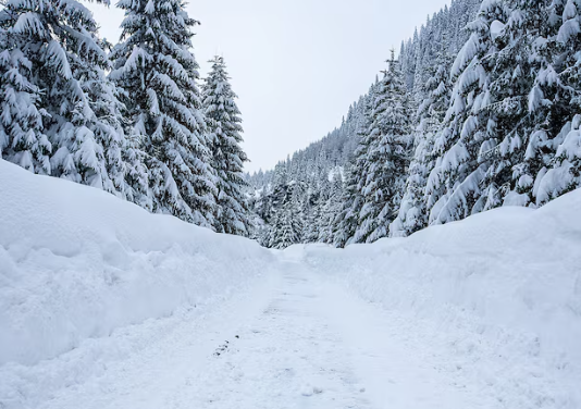 Ilustracija, Foto: Freepik