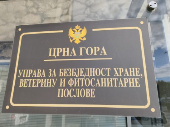 Foto: Montenegro magazin