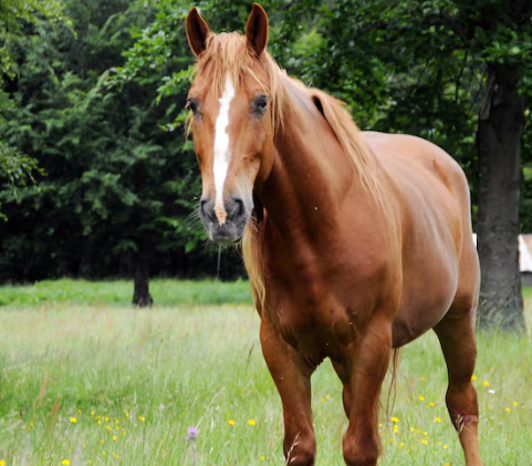 Ilustracija, Foto: Freepik