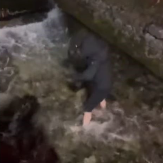 Foto: Printscreen/ Facebook: Pavle/ Čolović