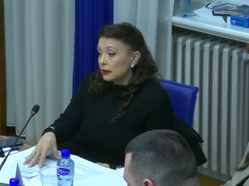 Simonida Kordić, Foto: Printscreen/ YouTube/ Skupština Crne Gore