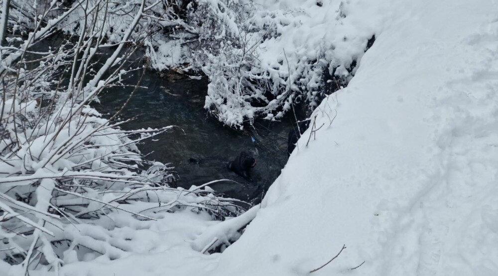 Foto: Regionalni ronilački centar Bijela
