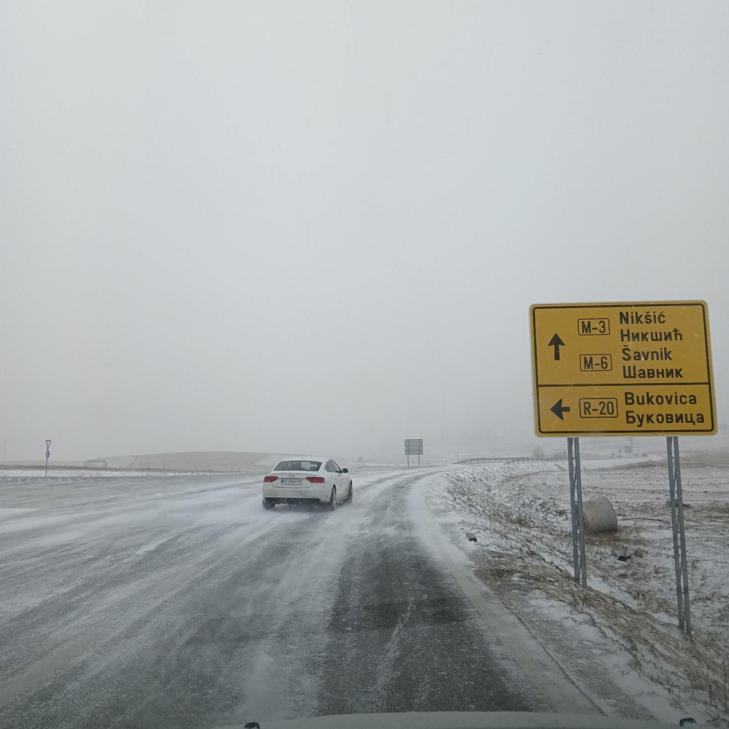 FOTO: VITOMIR ŠPANJEVIć, DAN