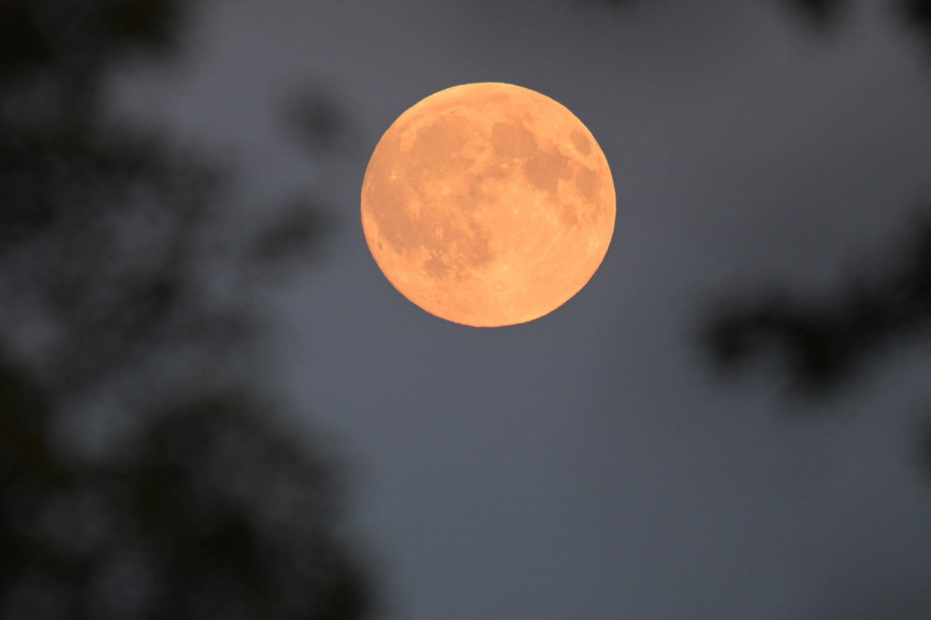 Foto: MARTIN DALTON/ IMAGO VIA GULIVER