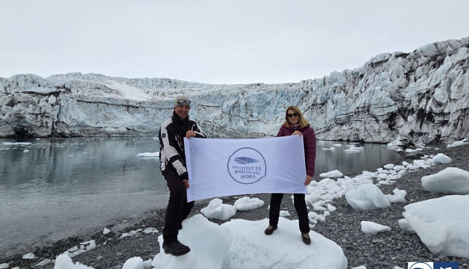 Foto: Institut za biologiju mora
